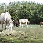 Domaine Des Arcs بيت للعطل *